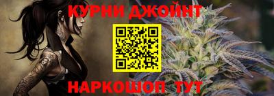 стафф Новозыбков