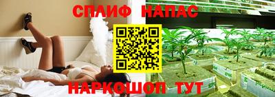стафф Новозыбков