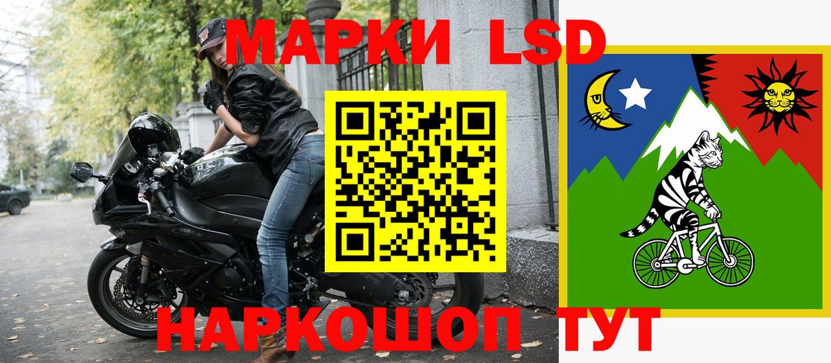 где можно купить наркотик  Наркотические марки 1500мкг  Наркотические марки 1500мкг  Вход с VPN  Буйнакск 