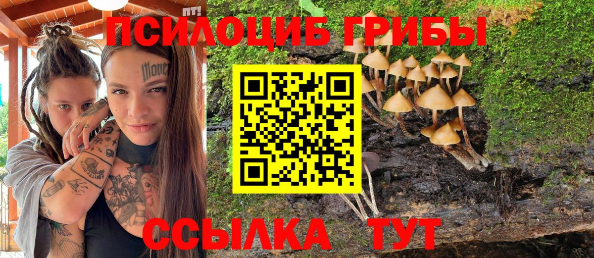 Галлюциногенные грибы Magic Shrooms Буйнакск