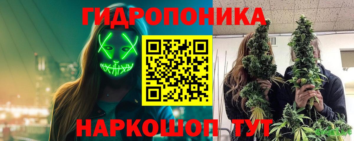 Буйнакск  Бошки марихуана Bruce Banner  Вход с VPN  Бошки Шишки конопля  Канабис OG Kush  МАРИХУАНА MAZAR 